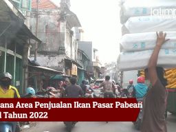Video: Situasi Pasar Pabean, Ikon Pasar Ikan Terbesar di Jawa Timur