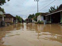 Ratusan Rumah Kebanjiran di Desa Ngampel Ponorogo, 3 Hari Belum Dapat Bantuan