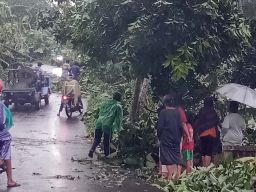 Puting Beliung Terjang 4 Desa di Probolinggo, Belasan Rumah Rusak