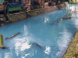 Heboh Air Sungai di Mojokerto Berwarna Biru