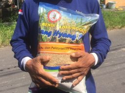 Petani YF menunjukkan bantuan berupa benih padi yang harus dibayarnya. (Foto: Rony Subhan/jatimnow.com)