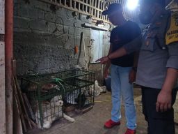 Terima Laporan Animals Hope Shelter, Polres Blitar Gerebek Tempat Jagal Anjing