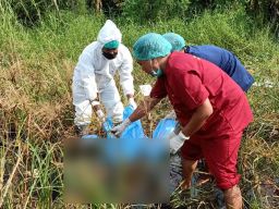 Mayat Misterius Ditemukan di Sidoarjo, Kepala dan Badan Terpisah 2 Meter