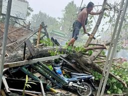 Pohon tumbang di Mojokerto menimpa tiga motor (Foto: Nor for jatimnow.com)
