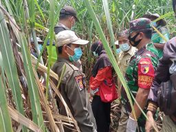 Proses evakuasi jenazah pria yang hilang 12 hari di Sambeng, Lamongan (Foto: Humas Polres Lamongan for jatimnow.com)