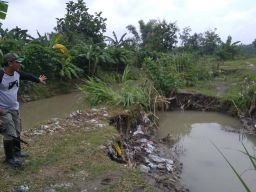 Jebolnya Tanggul Sungai Bancang Jadi Pemicu Banjir di Ploso, Jombang