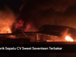 Video: Pabrik Sepatu CV Sweet Seventeen Terbakar