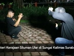 Video: Misteri Kerajaan Siluman Ular di Sungai Kalimas Surabaya