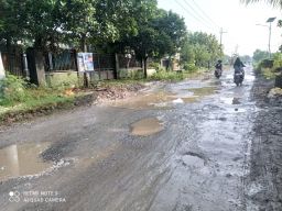 Jalur poros antar kecamatan di Lamongan ruas antara Plembon-Sukodadi. (Foto: Adyad Ammy Iffansah/jatimnow.com)