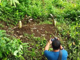Makam misterius yang ditemukan warga di dalam hutan. (Foto: Nor for jatimnow.com)