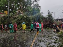 Proses evakuasi pohon beringin yang ambruk. (Foto: Rizal Adhi Prata/jatimnow.com)