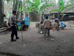 Penggerebekan Bocor, Pelaku Judi Sabung Ayam di Mojokerto Berhasil Kabur