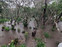 TPU Janti Kota Malang Terendam Banjir, Begini Penampakannya