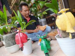 Unik, Ada Bonsai Kelapa Model Vespa di Jombang