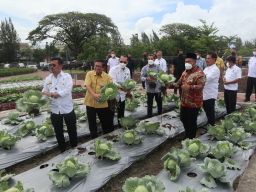 Menteri Pertanian (Mentan) Syahrul Yasin Limpo menunjukkan hasil pertanian. (Foto: PT Pupuk Indonesia for jatimnow.com)