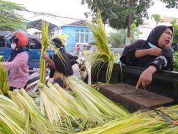 Aktifitas pedagang janur di Lamongan yang mulai kebanjiran pembeli menyambut Lebaran Ketupat.(Foto : Adyad Ammy Iffansah)