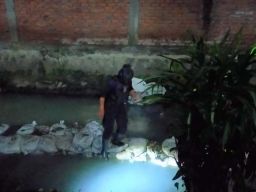 Tim Jibom Gegana Brimob Polda Jatim saat menyisir sungai di Dupak, Surabaya, tempat ditemukannya mortir