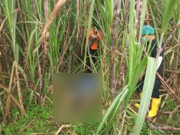 Tim Inafis Polres Tulungagung melakukan identifikasi di lokasi penemuan mayat (Foto: Dok. Polsek Ngantru)
