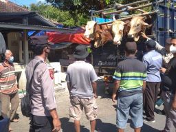 Terjaring Penyekatan PMK, 10 Truk Angkut Sapi di Ponorogo Diputar Balik