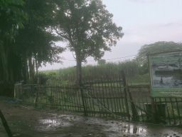 Situs Sumberbeji yang ada di Dusun Sumberbeji, Desa Kesamben, Kecamatan Ngoro, Jombang.(Foto: Elok Aprianto)