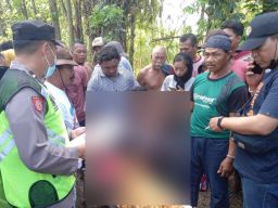 Pilihan Pembaca: Bocah Tenggelam, Exit Tol Bandar Macet, Kecelakaan Beruntun