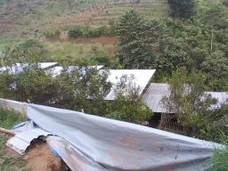 Takut Cemari Lingkungan, Warga Desa Bumiaji Protes Keberadaan Peternakan Babi