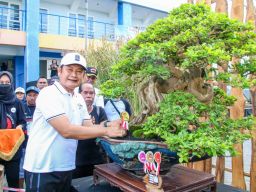 Penampakan tanaman bonsai seharga mobil dalam Festival Bonsai di Lamongan.(Foto: Humas Pemkab Lamongan for jatimnow.com)
