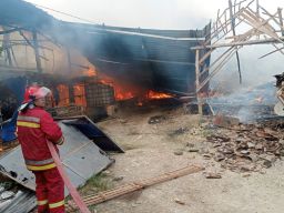 2 Kandang di Bojonegoro Beserta 55 Ribu Ekor Ayam Hangus Terbakar