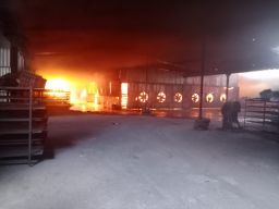 Pabrik Pembuat Wadah Telur di Mojokerto Terbakar