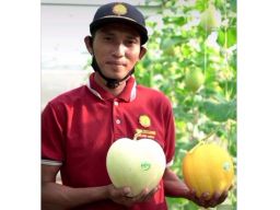 Mahfudh, petani melon asal Desa Bira Timur, Kecamatan Sokobanah, Kabupaten Sampang yang sukses budidaya buah melon 8 varietas (Foto-foto: Fathor Rahman/jatimnow.com)