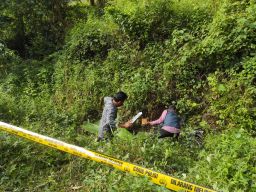 Mayat Pria Ditemukan Membusuk di Parit Hutan Jati Mojokerto
