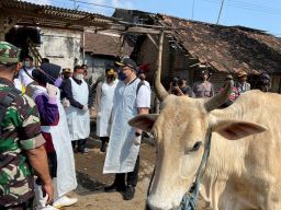 drh Tutik (kiri) bersama Mas Dhito (kanan) saat meninjau pasar hewan sebelum penutupan.(Foto: Yanuar Dedy/Jatimnow.com)
