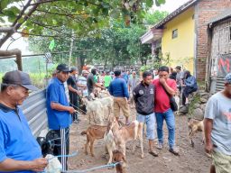 Jual Beli Kambing di Ponorogo Masih Boleh, Meski Pasar Hewan Ditutup