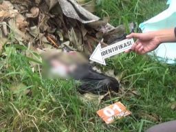 Warga Kedungpapar Jombang Temukan Mayat Bayi di Tumpukan Sampah