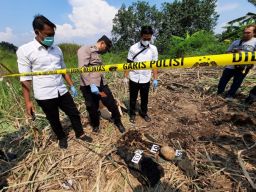 Kerangka Manusia Ditemukan di Ladang Tebu Mlirip Mojokerto