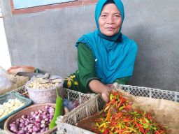 Saini salah satu pedagang di Pasar Tradisional Sidoharjo Lamongan. (Foto: Adyad Ammy Iffansah/jatimnow.com)