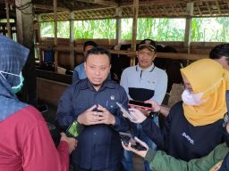 DPRD Dukung Pemkab Tuntaskan PMK Sapi di Ponorogo
