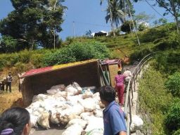 Tak Kuat Menanjak, Truk Bermuatan Porang Terguling di Jalan Ngrayun Ponorogo