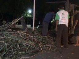 Truk Bermuatan Tebu Terguling di Jombang, 4 Orang asal Nganjuk Tewas