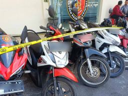 Gerebek Judi Sabung Ayam di Bondowoso, Polisi Amankan Motor Pelat Merah