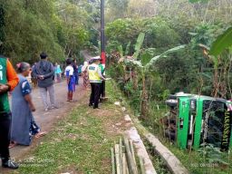 Tak Kuat Menanjak, Bus Rombongan MTs An-Nur Terguling di Wonosari Malang