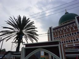 Masjid Al Mubarok Mojokerto Panen Kurma Muda, Banyak Diburu karena Khasiat Ini
