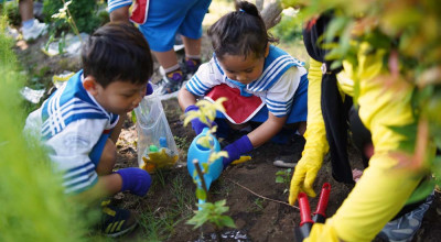 Anak-anak Surabaya Ikuti Aksi Bersih dan Tanam Sayur Bersama Pelindo 3 Anak-anak Surabaya Ikuti Aksi Bersih dan Tanam Sayur Bersama Pelindo 3