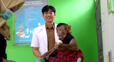 Peringatan World Rabies Day 2025, Monyet Hingga Kucing di Trenggalek Ikut Vaksin