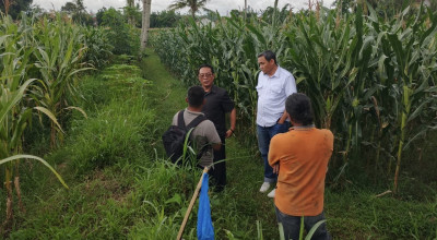Dinilai Tak Berfungsi Baik Akibat Perumahan, DPRD Jember Cek Saluran Irigasi Pertanian