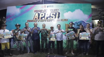 Sapi Raksasa Asal Mojokerto Sabet Juara di Festival dan Expo Sapi Jember Cup