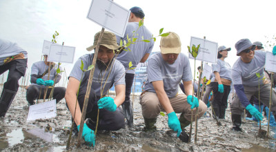 Cegah Bencana Pesisir, Nestle dan Warga Pasuruan Bangun Perisai Alami