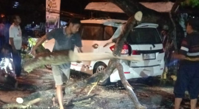 Hujan Deras dan Angin Kencang, Mobil Minibus Tertimpa Pohon Besar di Tulungagung