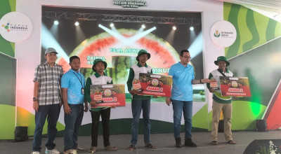 Lomba Budidaya Semangka, Jaga Optimisme Petani Tapalkuda di Tengah Ancaman Gagal Panen