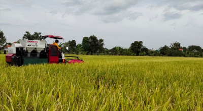 Distribusi Pupuk 2026 di Kediri Dipastikan Aman, Alokasi Naik Signifikan